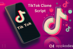Tiktok clone script (2).png